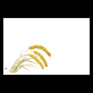 �Ɩ��p 38�p�㎿���}�b�g�@�V���