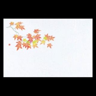 �Ɩ��p 38�p�㎿���}�b�g�@�V�g�t