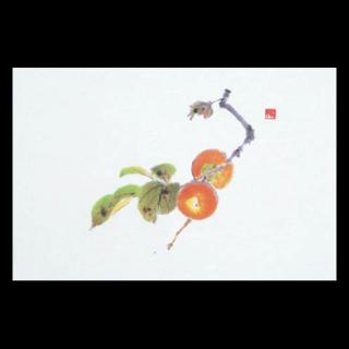 �Ɩ��p 38�p�㎿���}�b�g�@�V�`