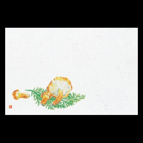 �Ɩ��p 38cm�㎿���}�b�g�@�܂���