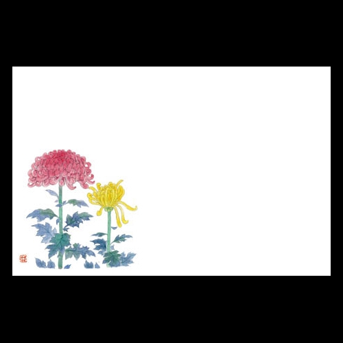 �Ɩ��p 38cm�㎿���}�b�g�@�V�e