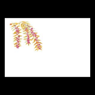 38�p�㎿���}�b�g�@������