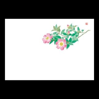 38�p�㎿���}�b�g�@NEW�T�U���J