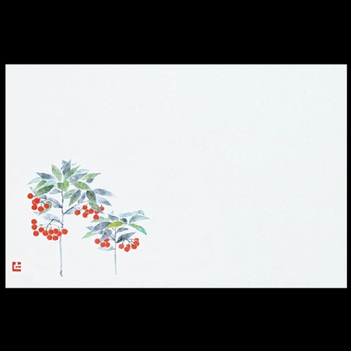 38cm�㎿���}�b�g�@����