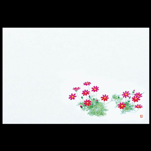 �Ɩ��p 38cm�㎿���}�b�g�@�R�X���X