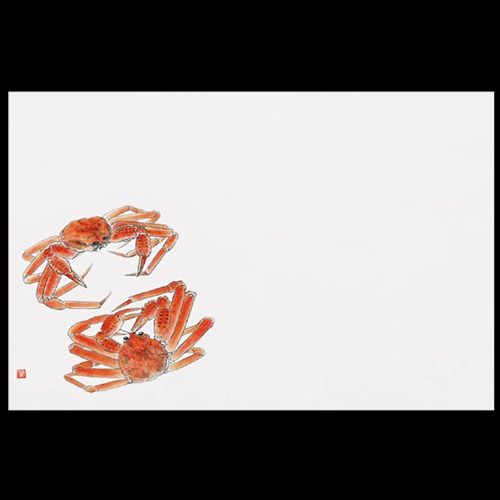 �Ɩ��p 38cm�㎿���}�b�g�@�Ԃ���