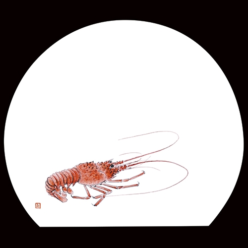 ������3�_���a���}�b�g�@�ɐ��C�V