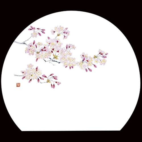 ������3�_���a���}�b�g�@�V��