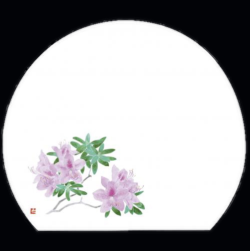 ������3�_���a���}�b�g�@��