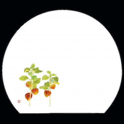 ������3�_���a���}�b�g�@�ق�����