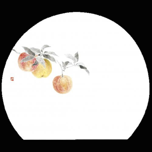 ������3�_���a���}�b�g�@���