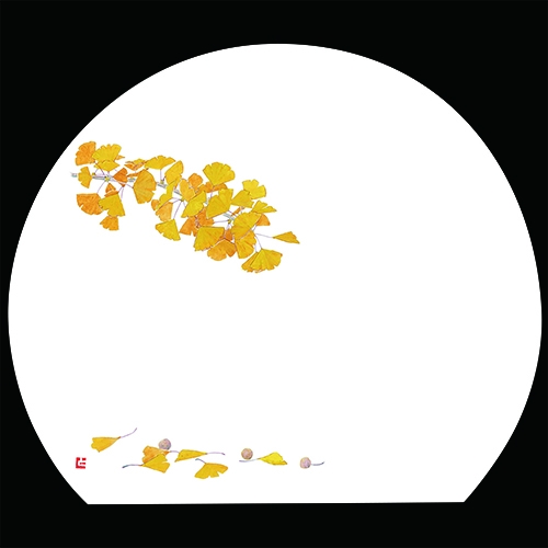 ������3�_���a���}�b�g�@�����傤