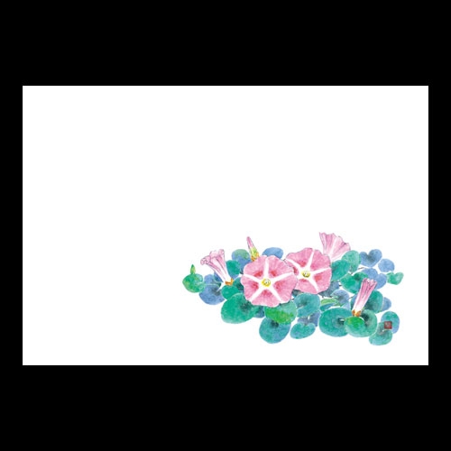 ��3�_���a���}�b�g�@�l����