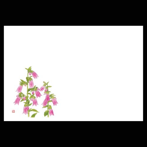 ��3�_���a���}�b�g�@�z�^���u�N��