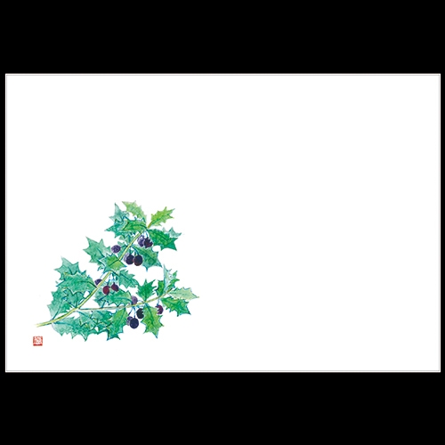 ��3�_���a���}�b�g�@�q�C���M�̎�