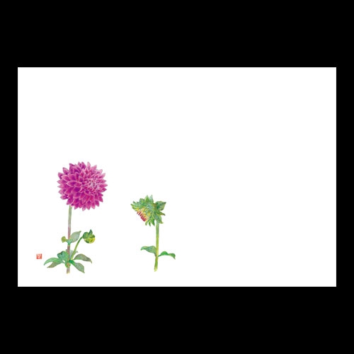 ��3�_���a���}�b�g�@�_���A