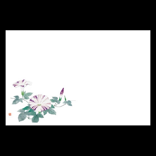 ��3�_���a���}�b�g�@�V��������