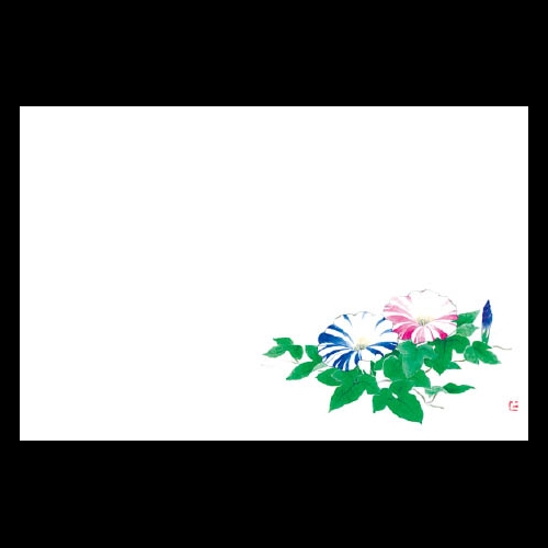 ��3�_���a���}�b�g�@NEW��������