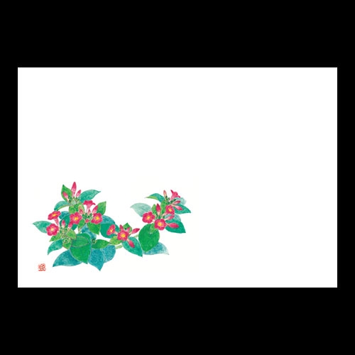 ��3�_���a���}�b�g�@�V�����낢��