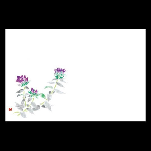 ��3�_���a���}�b�g�@�V���ǂ�