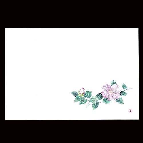 ��3�_���a���}�b�g�@NEW�R����