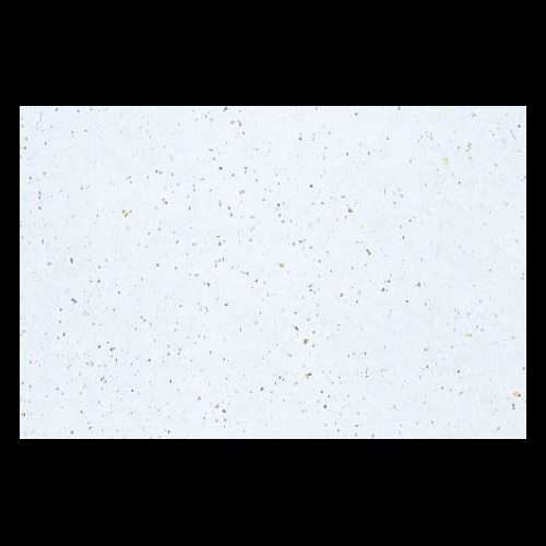 ��3�_���a���}�b�g�@����U���F