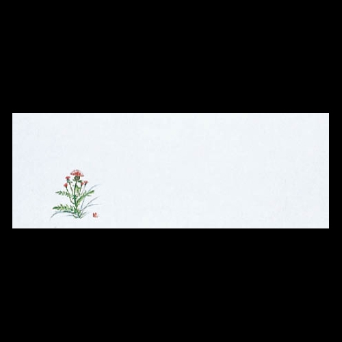 ���u�_���a���}�b�g�@�삠����