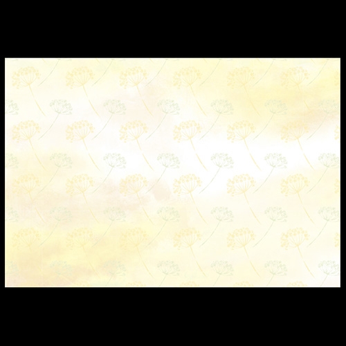 38cm�㎿���}�b�g�@�C�G���[����