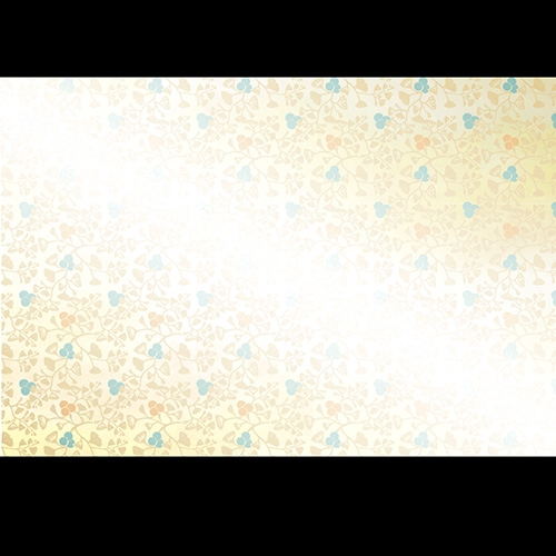 38cm�㎿���}�b�g�@�C�`���E�Ƌ��