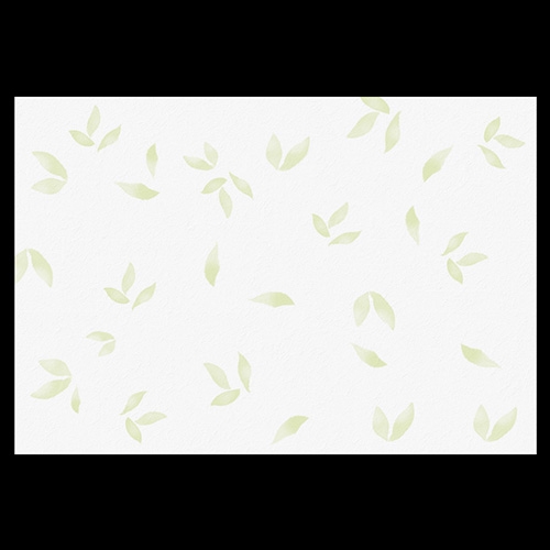 38cm�㎿���}�b�g�@��t