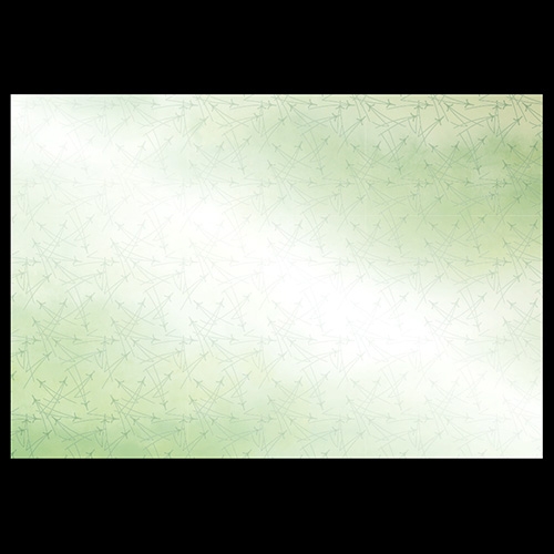 38cm�㎿���}�b�g�@�O���[�����t