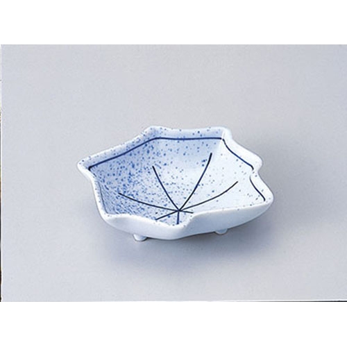 �V�t���n��