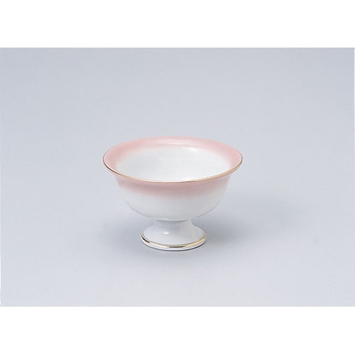 2.9������[�������@�s���N��