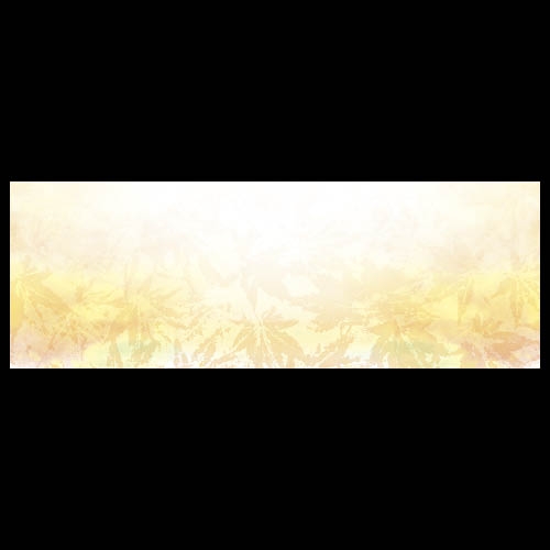 �㎿��13cm���p�}�b�g�@�R���g�t