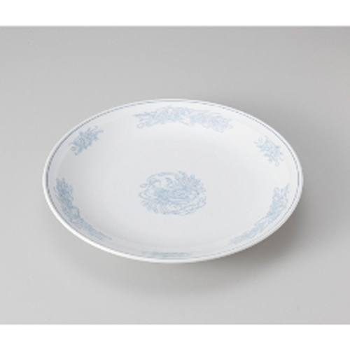 ���t�P���@30cm�ێM