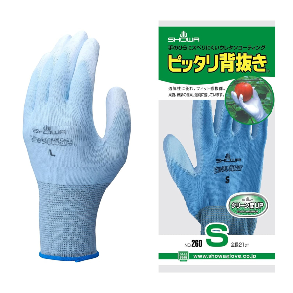 �s�b�^���w����