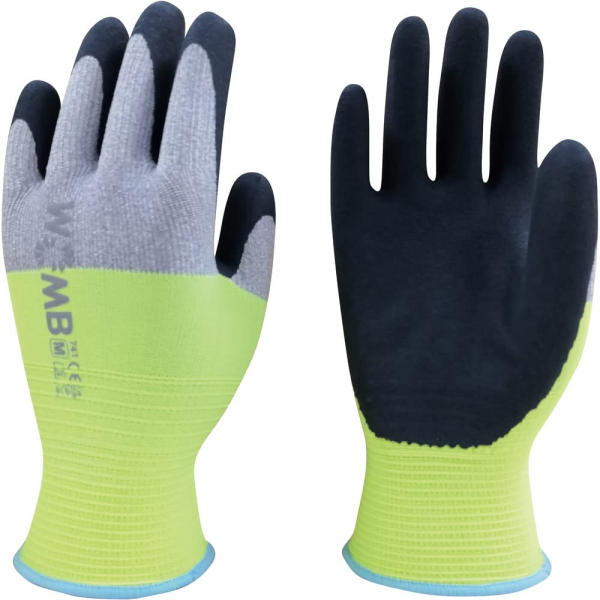 WOMB�i�E�[���j�@�����F�@�C�G���[