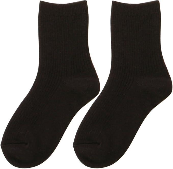 �Ђ��܂�_�u���\�b�N�X�@2���g�@��