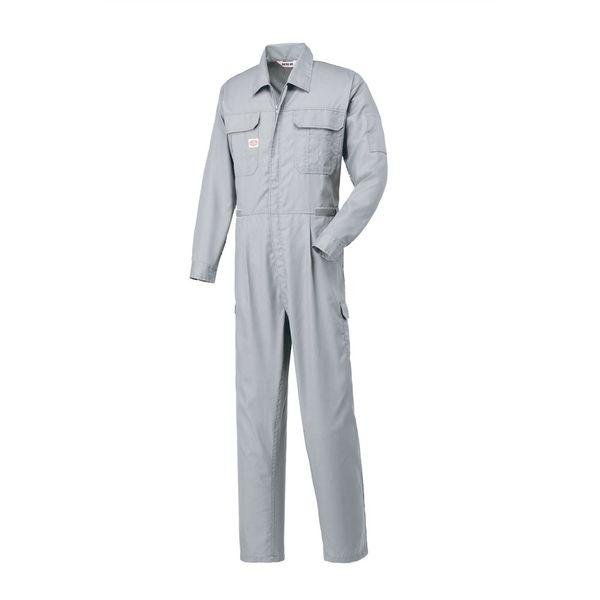 �z�������@�Ȃ����@�V���o�[�O���[