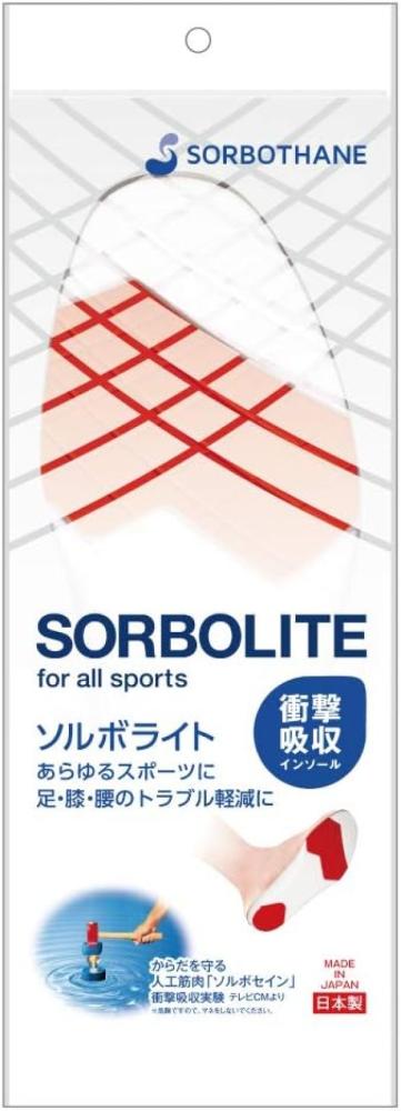 �\���{���C�g