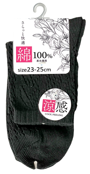 �w�l�\����100�����~�[�\�b�N�X������