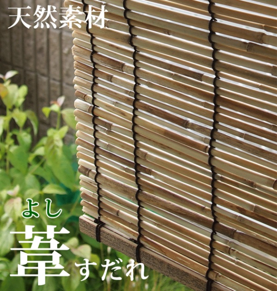 �V�R�@��������(W88*D80cm)