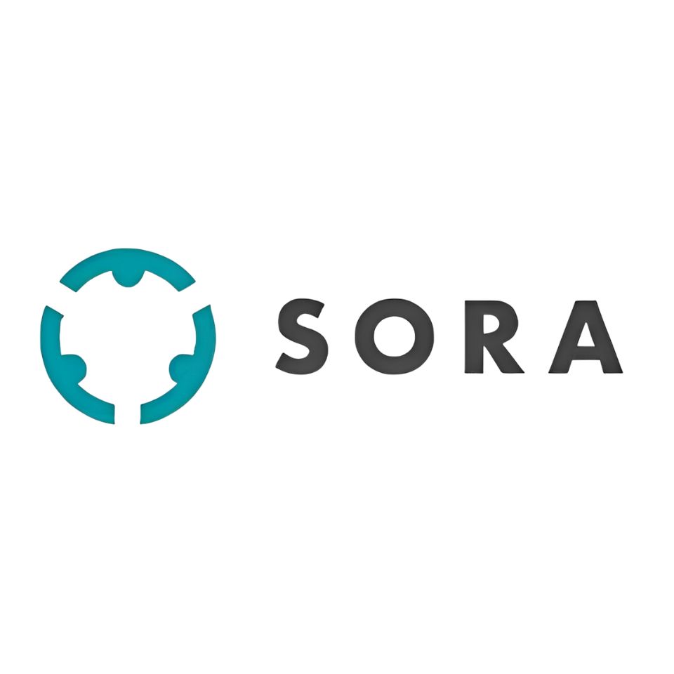 �������SORA