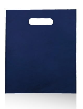 �s�D�z�~�j�A�[���o�b�O �P�F�P�O�O���@�^�I���p���H��