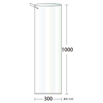 �k�c�i�`�������q���t���܂R�O�O�w�P�O�O�O�i100�����j