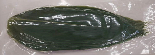 ���̗t�@�z�[���@3L�@100���~30P