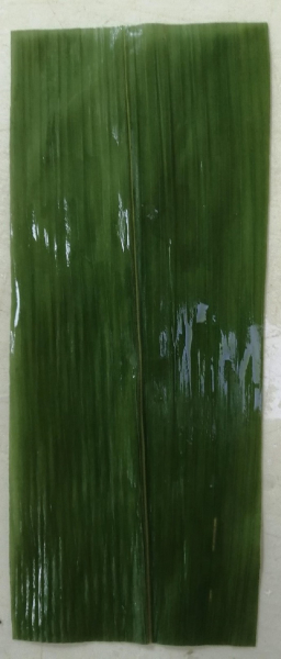 ���̗t�@�����`�@100���~30P�@