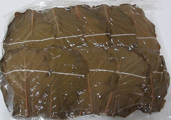 ���̗t�@���@S�@500���~6P