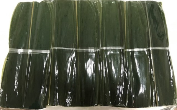 ���̗t�@�J�b�g�@23L�@500���~12P�@