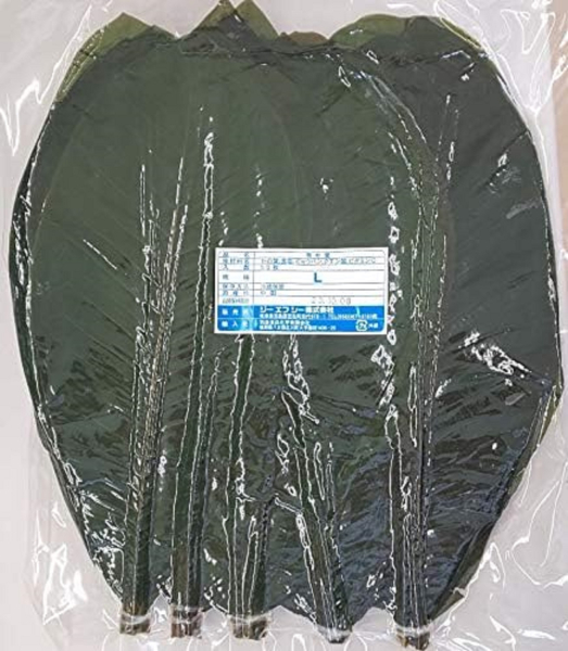 �p�t�@L�@50���~16P�@